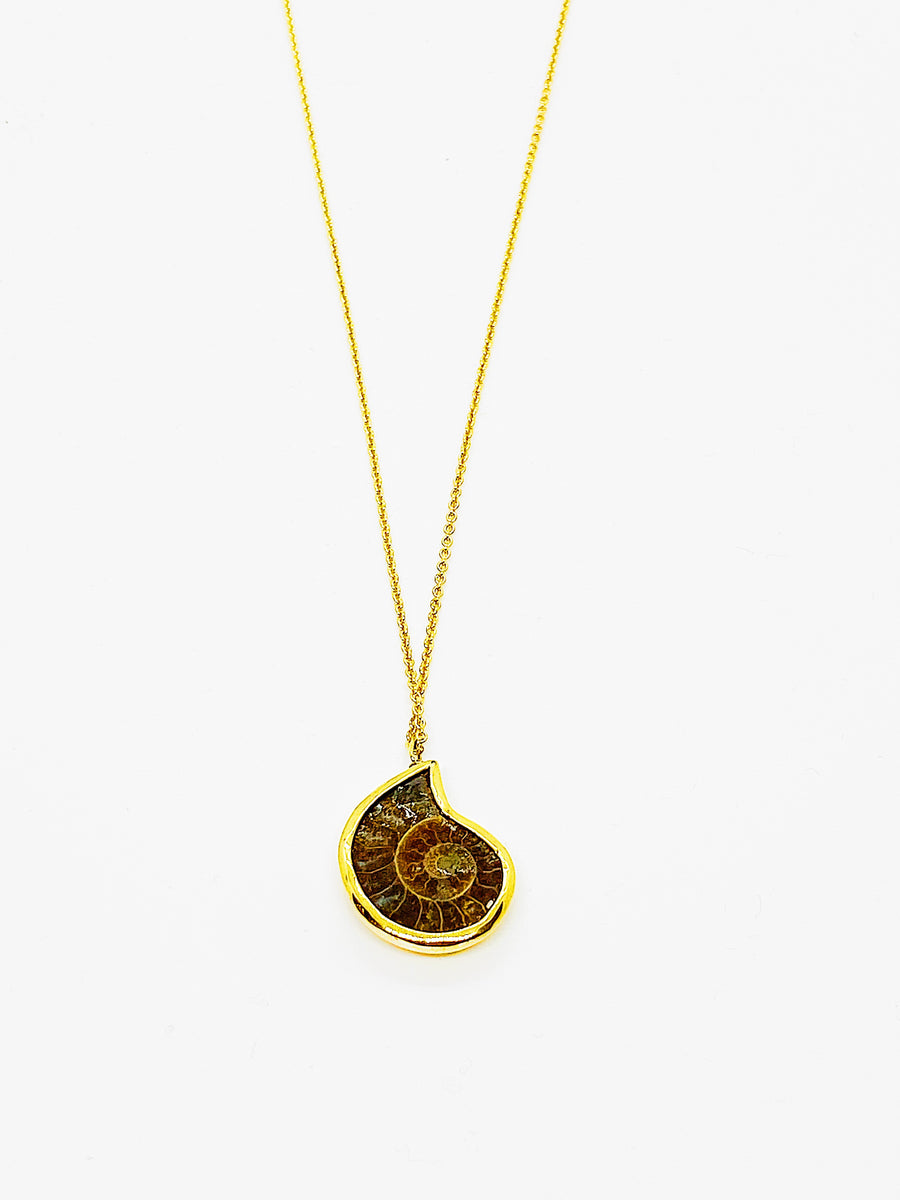 Ammonite Fossil  Neklace