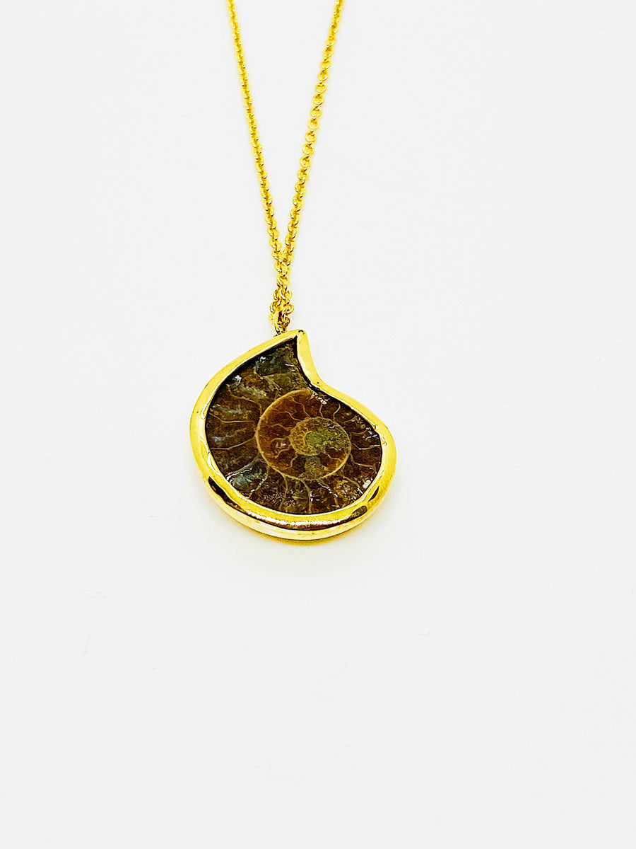 Ammonite Fossil  Neklace